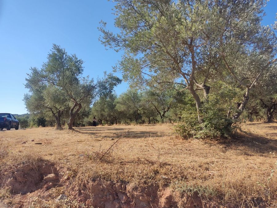 Photo 324605376