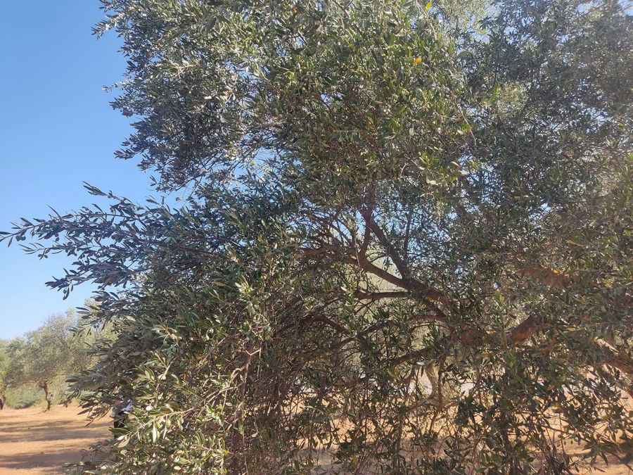Photo 324605490