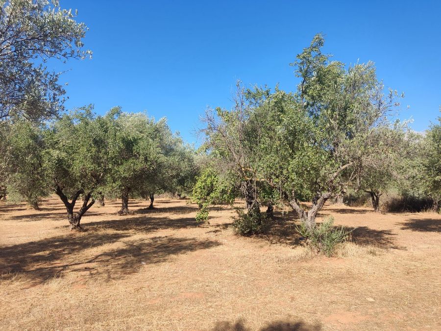 Photo 324605493
