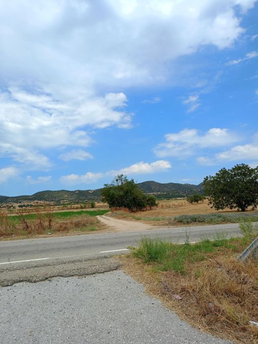 Photo 324903033