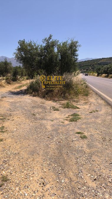 Photo 324924939
