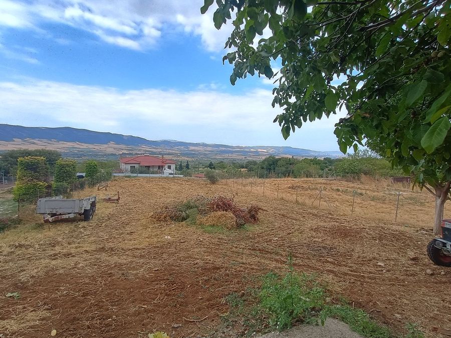 Photo 325044618