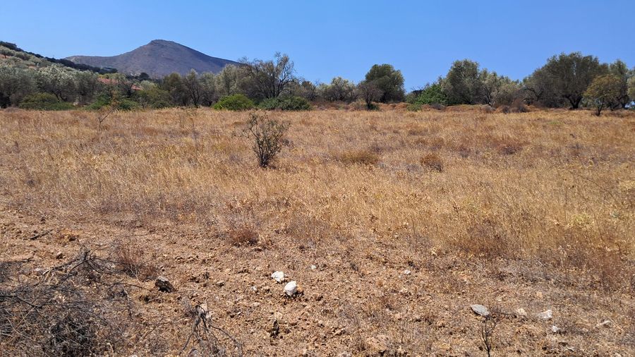 Photo 325149153