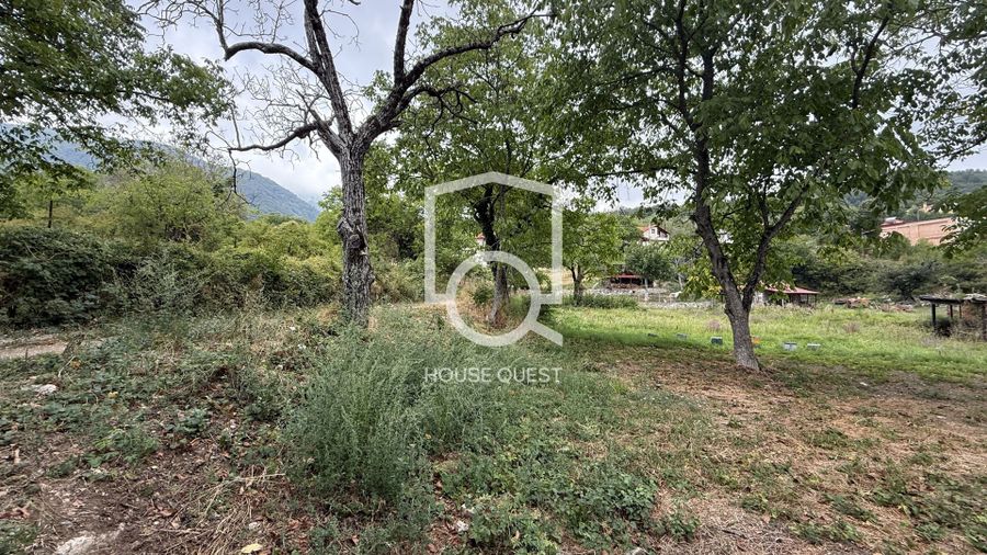 Photo 325163955