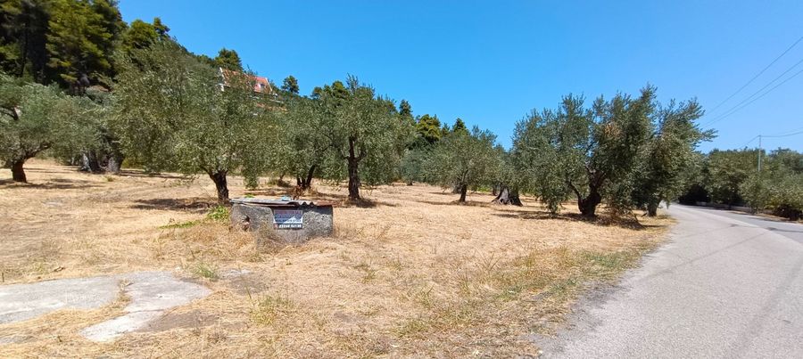 Photo 325212099
