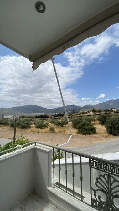 Photo 325278861