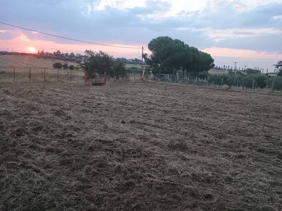 Photo 325327695