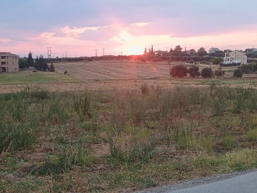 Photo 325327698