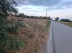 Photo 325327704