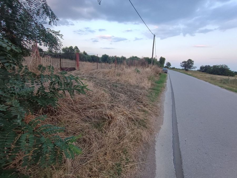 Photo 325327704