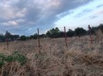 Photo 325327710