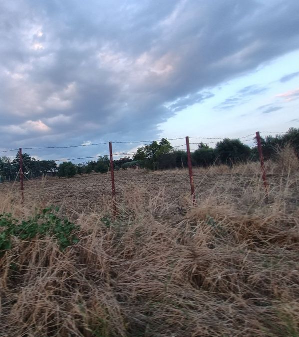 Photo 325327710