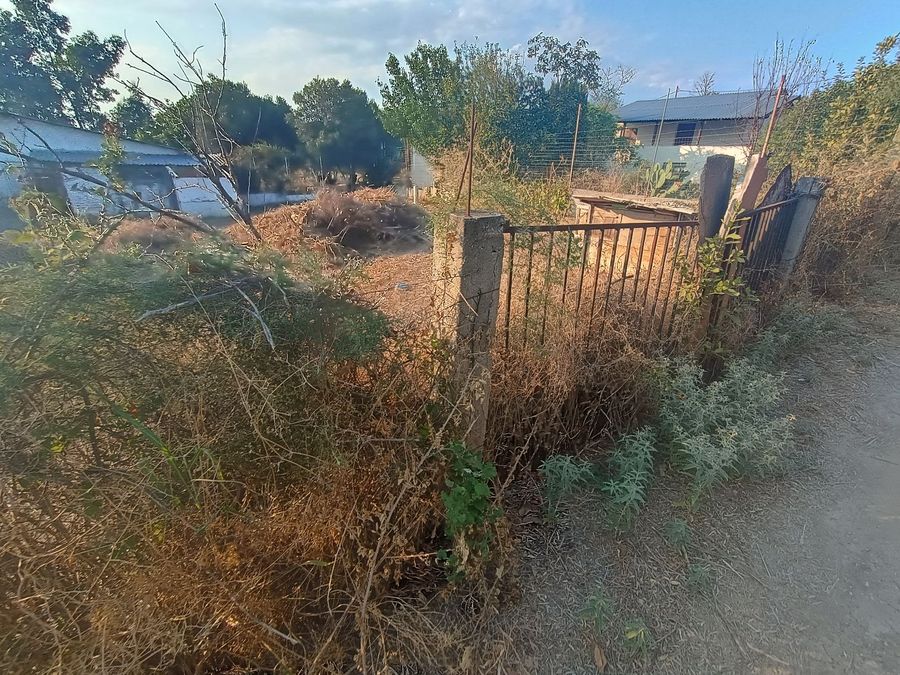 Photo 325414221