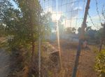 Photo 325414266