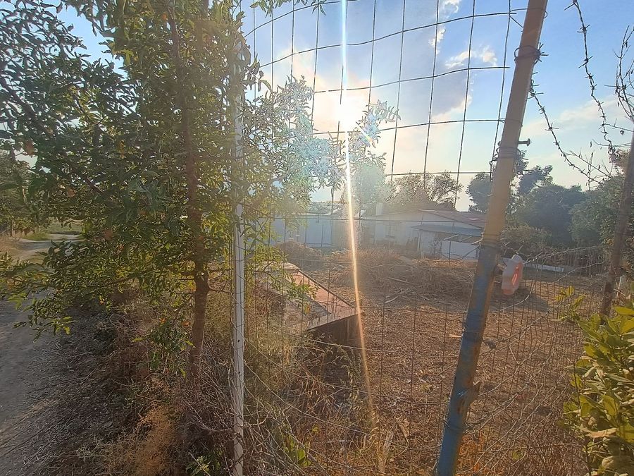 Photo 325414266