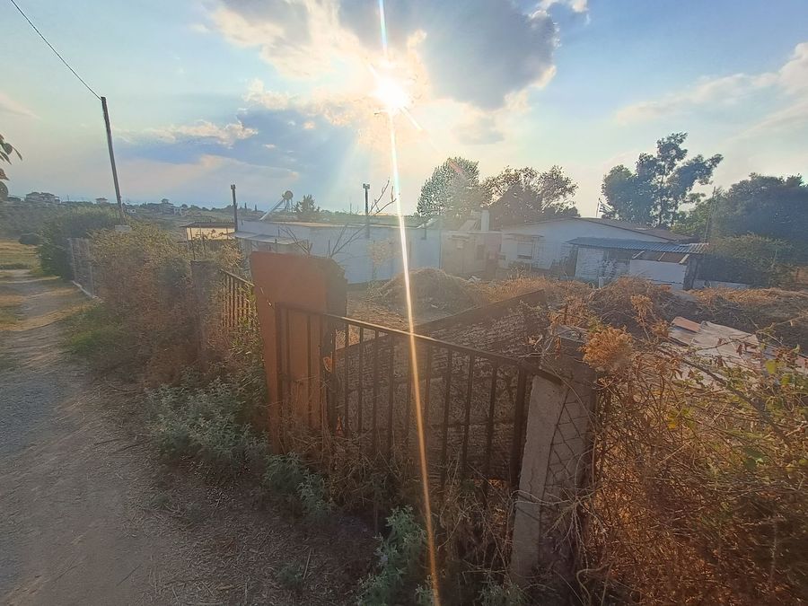 Photo 325414272