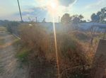 Photo 325414278