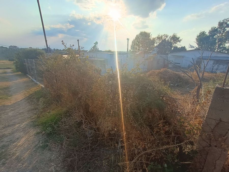 Photo 325414278