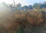Photo 325414281