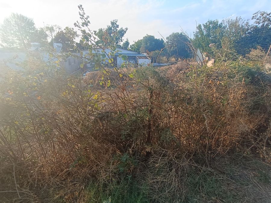 Photo 325414281