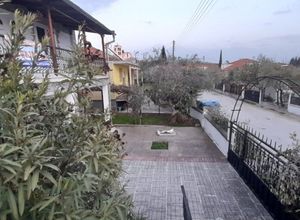 Μονοκατοικία προς πώληση Παλαιόκαστρο (Σκοτούσσα) 130 τ.μ. Ισόγειο 3 Υπνοδωμάτια