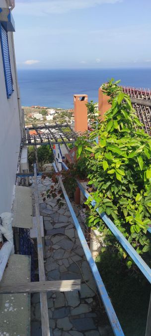 صورة فوتوغرافية 325616706