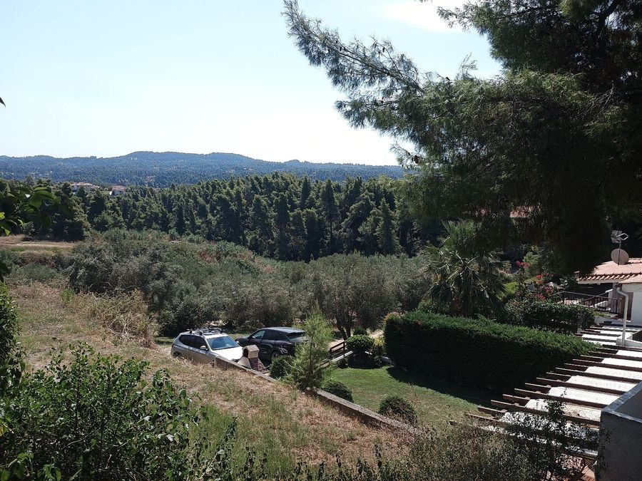 Photo 325639515