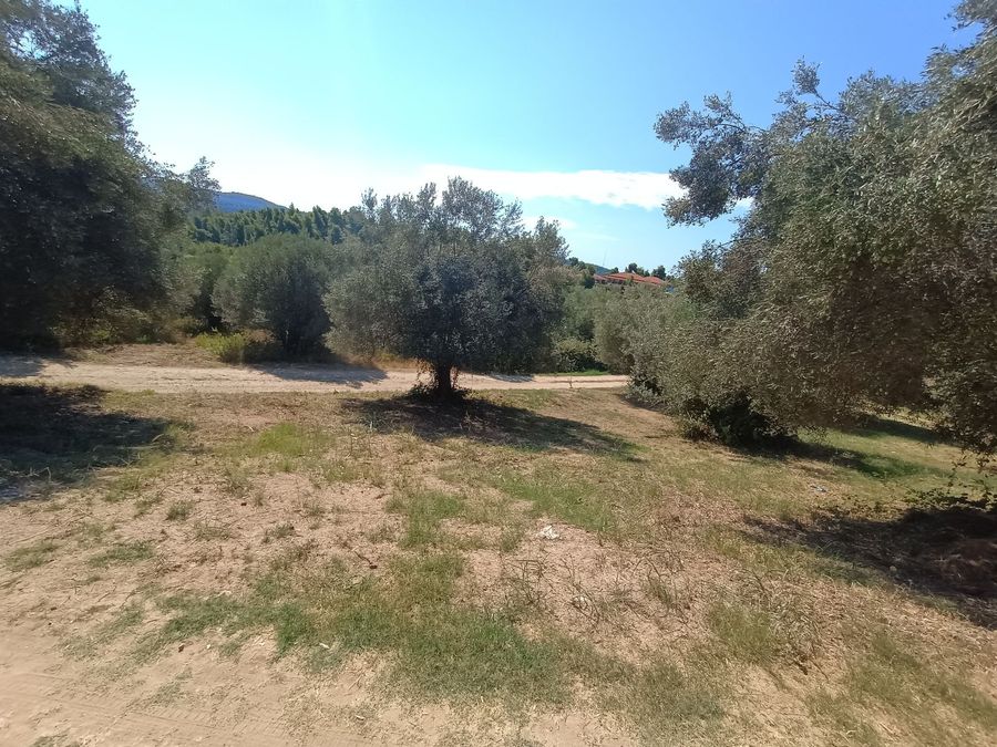 Photo 325639521