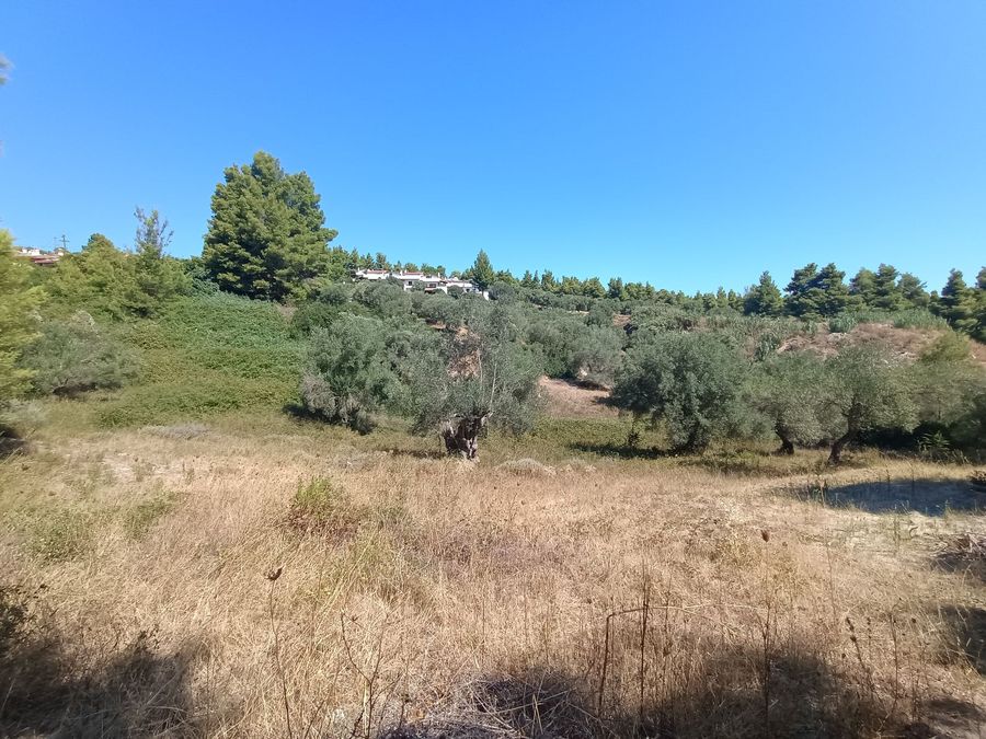 Photo 325644075