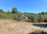 Photo 325644087