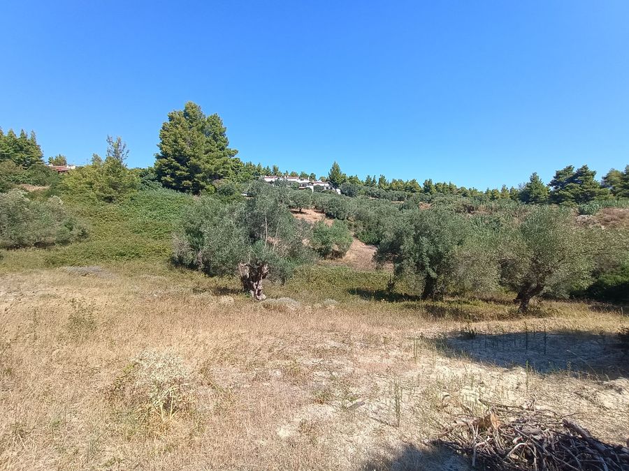 Photo 325644087