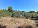 Photo 325644099