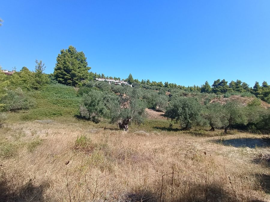 Photo 325644099