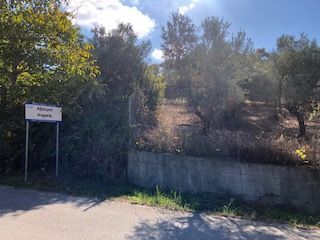 Photo 325817163