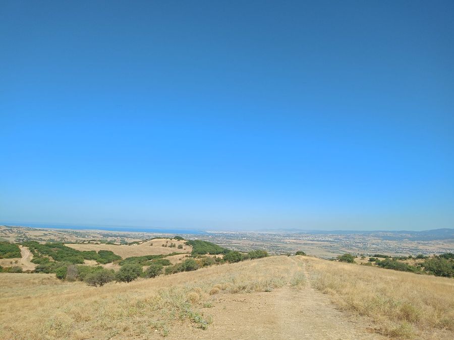 Photo 325822713