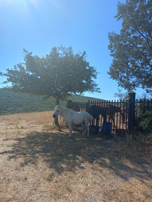 Photo 325822716