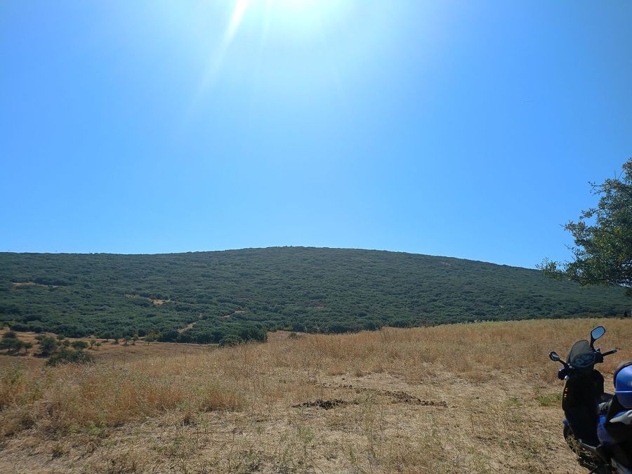 Photo 325823355