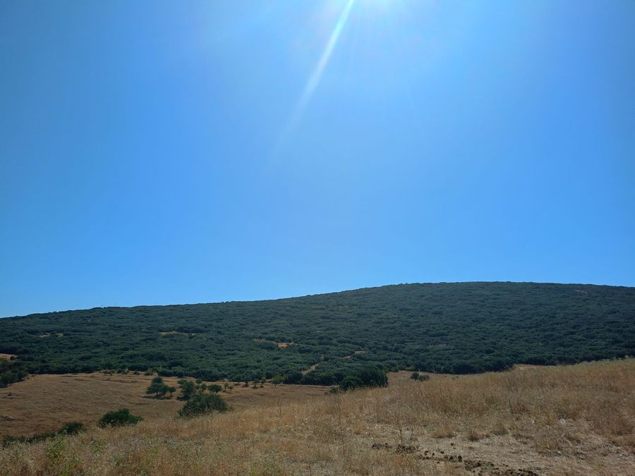 Photo 325823358