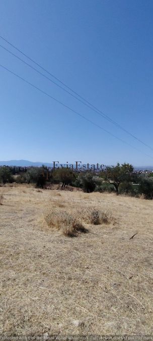 Photo 326009526
