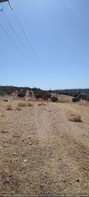 Photo 326009532
