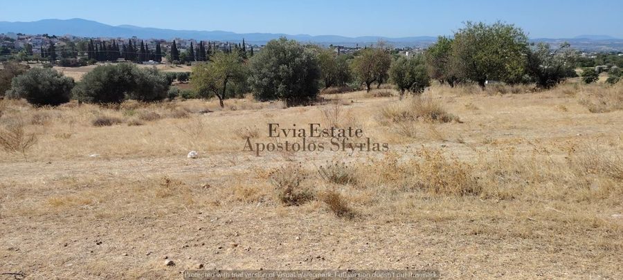 Photo 326009541
