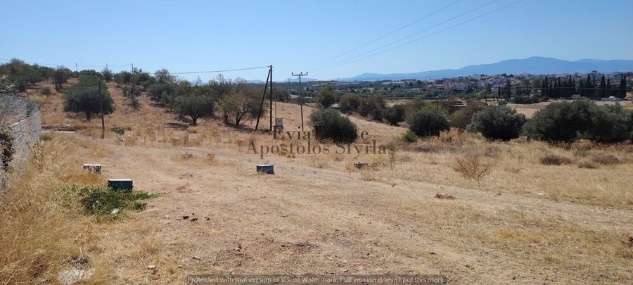 Photo 326009550