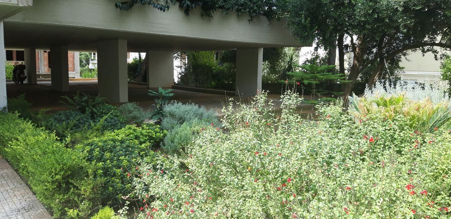 Photo 326131725