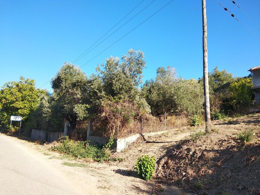 Photo 326207220