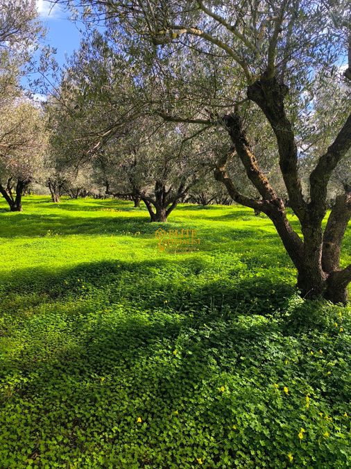 Photo 326463018