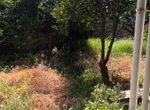 Photo 326546265
