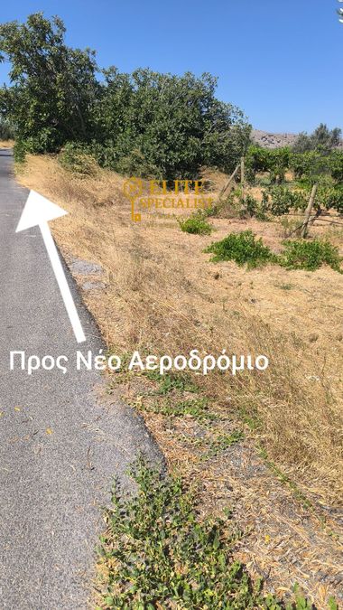 Photo 326762211