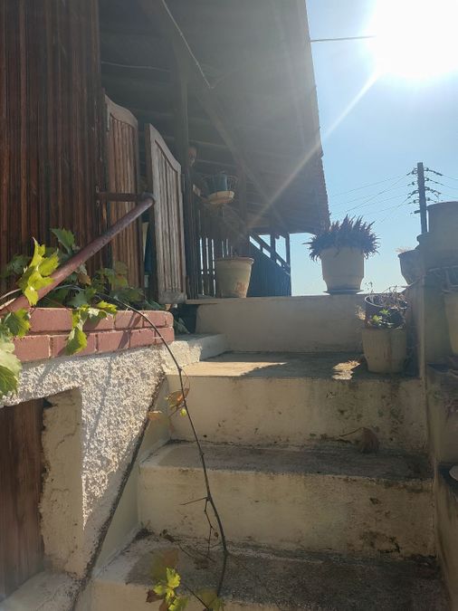 Photo 327303618