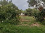 Photo 327331725