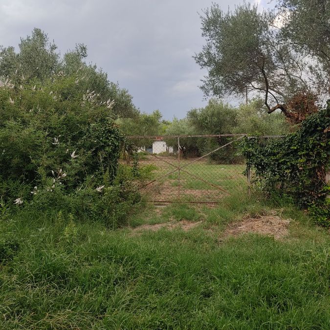 Photo 327331725